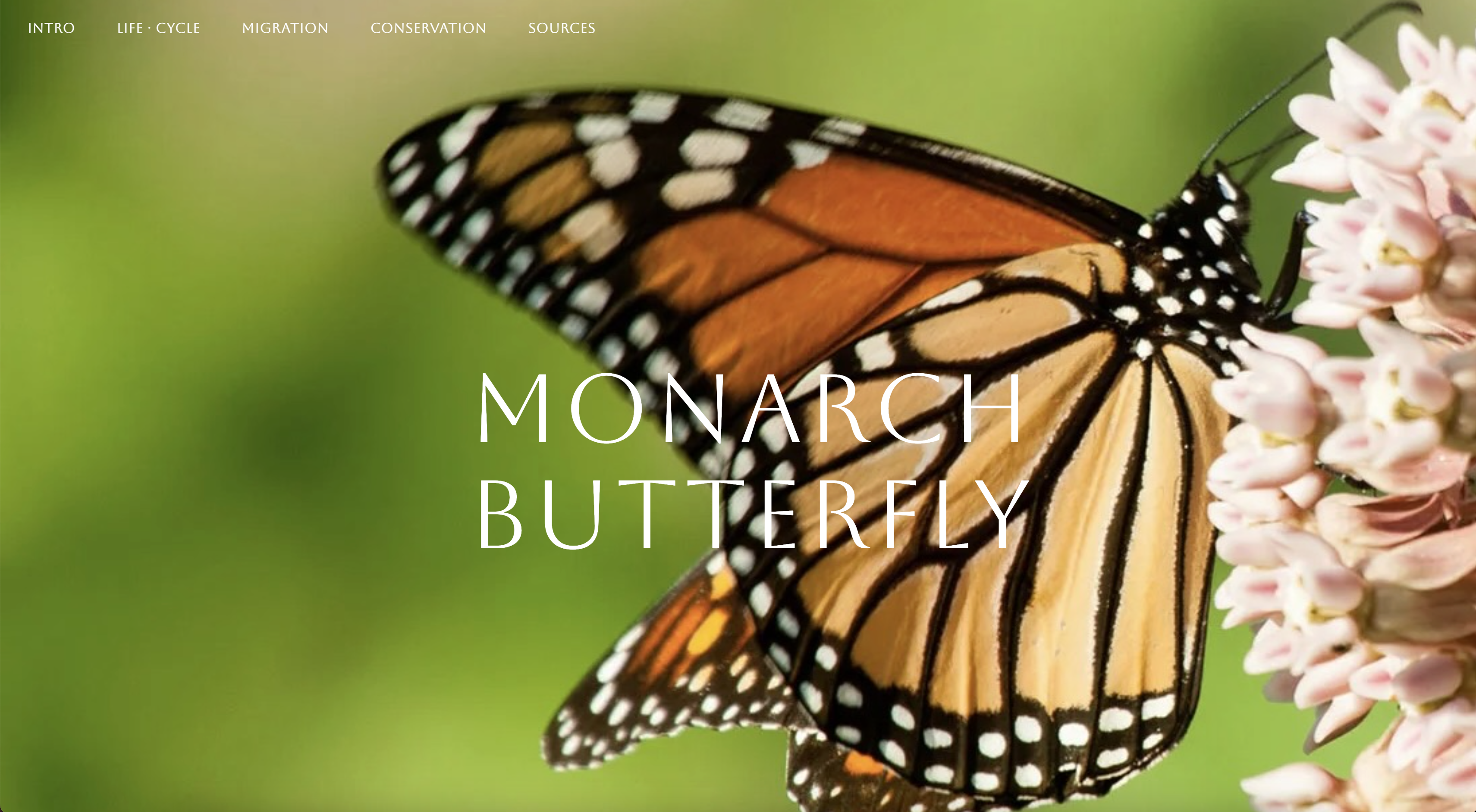 Monarch Microsite Image